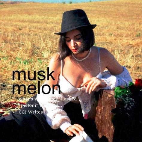 musk melon a poem by garry james